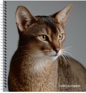 Записная книжка А6 80л. Клетка, (ЦЕНА ЗА 1ШТ) КРАСИВЫЙ КОТ - 2, цветная спираль
