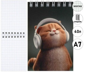 Блокнот МАЛЫЙ ФОРМАТ А7 40л КЛЕТКА (ЦЕНА ЗА 5ШТ) 70*100мм, спир."Феникс" Кот в наушниках, микс