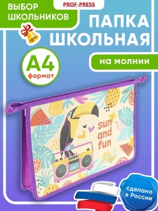 Папка для тетрадей на молнии А4 ТУКАН МЕЛОМАН, 33*24см, картон + пластик