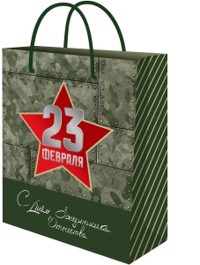 яяя Пакет подарочный с глянц.лам. 18х23x8 см (M) День армии, 128 г
