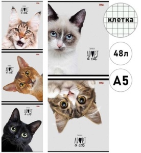 Тетрадь А5 48л КЛЕТКА (ЦЕНА ЗА 10ШТ) Проф-Пресс Кошачие мордочки-2, на скобе, обл. мел. бум. офсет