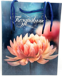 Пакет подарочный с глянц.лам. 18x23x8 см (М) Цветок