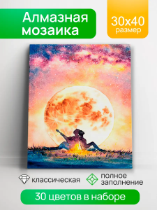 Алмаз мозаика (клас.) 30х40 см, с подр., с полн. заполн. (30цв) Свидание под Луной