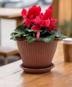 Кашпо Гамма плюс, 2,0 л, d=19см, терракот с поддоном