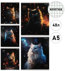Тетрадь А5 48л КЛЕТКА (ЦЕНА ЗА 5ШТ) Проф-Пресс Котики и огоньки, на скобе, обл. мел. карт. глиттер
