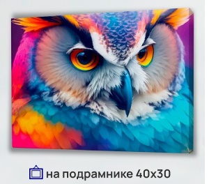 УЦЕНКА Холст с красками 30х40см по номер (30цв) "Мудрый филин", в кор. СРОК ГОДНОСТИ