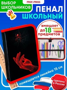 Пенал 1-секц, большой СПАЙДЕР, 190х115мм, ламинированный картон