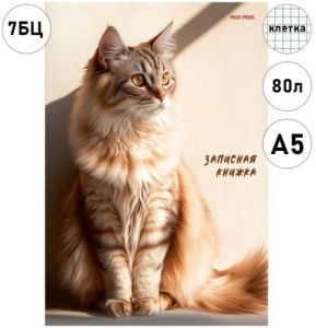 Записная книжка А5 7БЦ 80л КЛЕТКА "Проф-Пресс" Рыжий кот в лючах солнца, обл. глянц. лам. карт.
