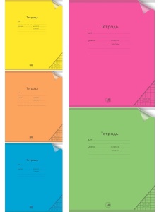 Тетрадь КЛЕТКА 18л (ЦЕНА ЗА 10ШТ). цвет.пласт.обл. plastic cover НЕОН, микс