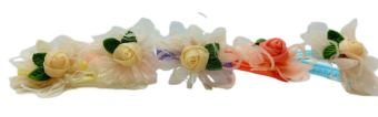 Pasted-20250401-105248_pixian_ai