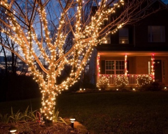250-1