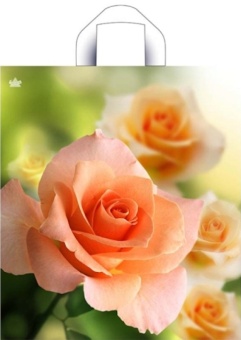 58eb6fddbda72e8fba5927ae252030d8