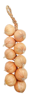 Pasted-20250324-185008_pixian_ai