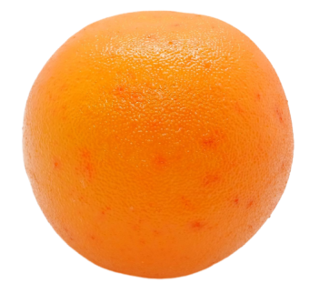 Pasted-20250324-174357_pixian_ai