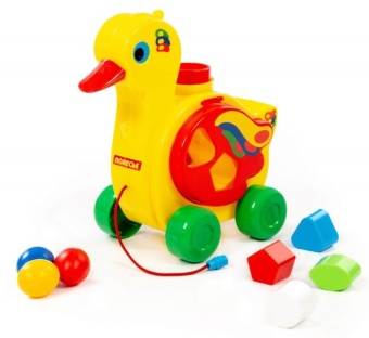6219