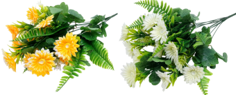 image-Photoroom - 2026-04-18T213655.620