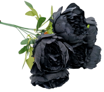 image-Photoroom (49)